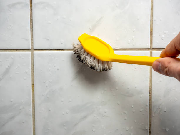 Best Certified Mold Removal  in , ME